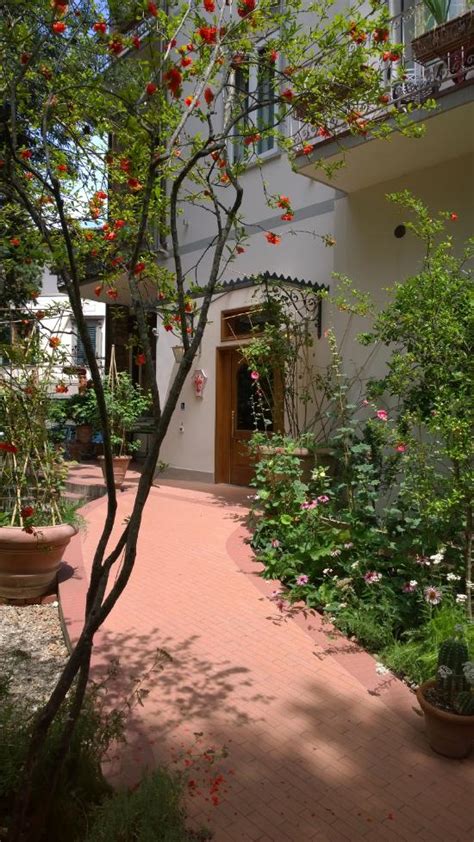 hotel david tripadvisor